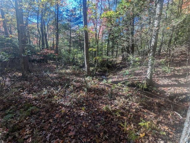 26.89 Shadow Lane, Blue Ridge, GA 30513