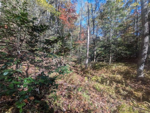 26.89 Shadow Lane, Blue Ridge, GA 30513