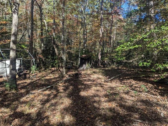 26.89 Shadow Lane, Blue Ridge, GA 30513