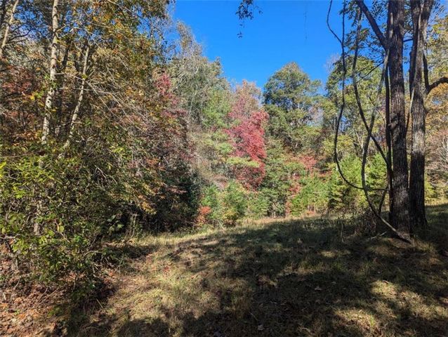 26.89 Shadow Lane, Blue Ridge, GA 30513