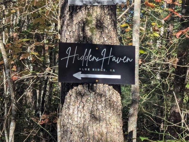 26.89 Shadow Lane, Blue Ridge, GA 30513