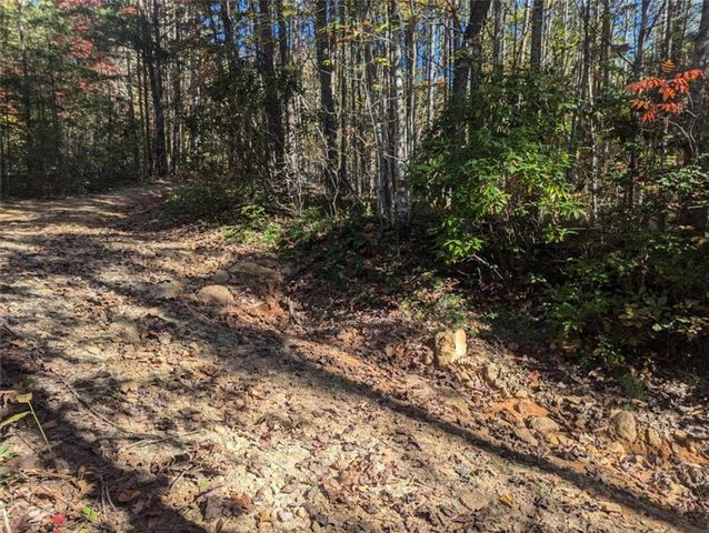 26.89 Shadow Lane, Blue Ridge, GA 30513