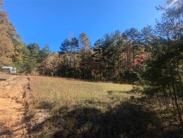 26.89 Shadow Lane, Blue Ridge, GA 30513