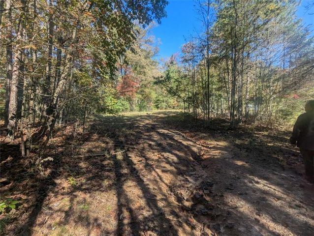 26.89 Shadow Lane, Blue Ridge, GA 30513