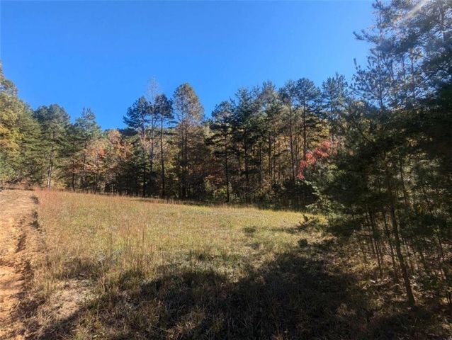 26.89 Shadow Lane, Blue Ridge, GA 30513