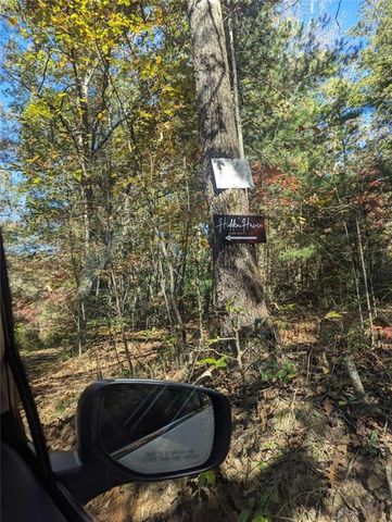 26.89 Shadow Lane, Blue Ridge, GA 30513