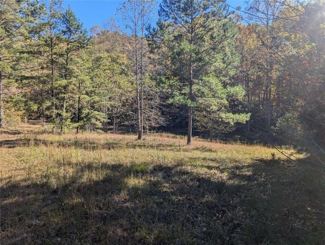 26.89 Shadow Lane, Blue Ridge, GA 30513