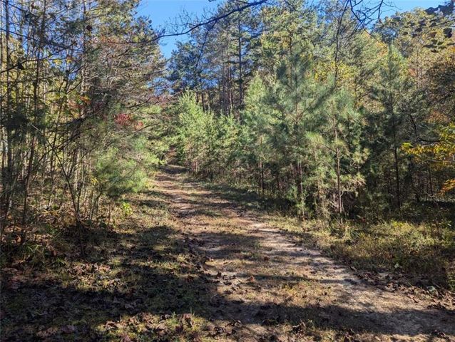 26.89 Shadow Lane, Blue Ridge, GA 30513