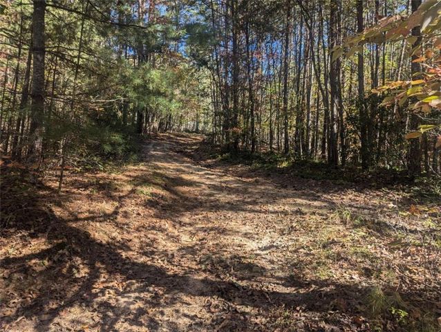 26.89 Shadow Lane, Blue Ridge, GA 30513