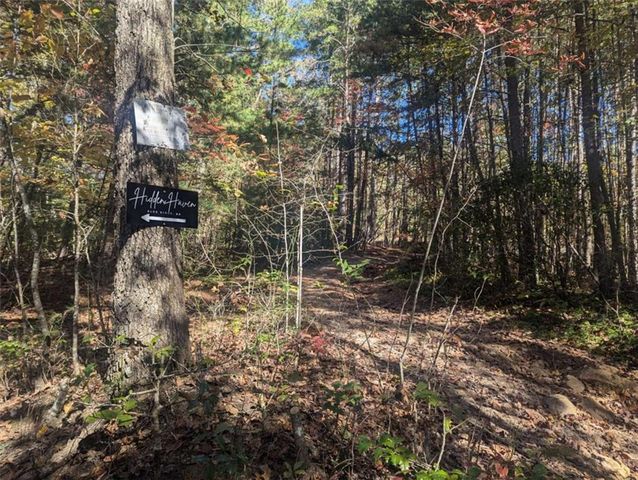 26.89 Shadow Lane, Blue Ridge, GA 30513