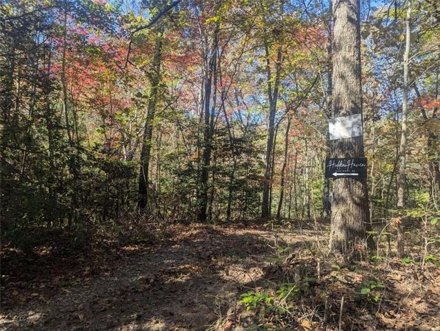 26.89 Shadow Lane, Blue Ridge, GA 30513