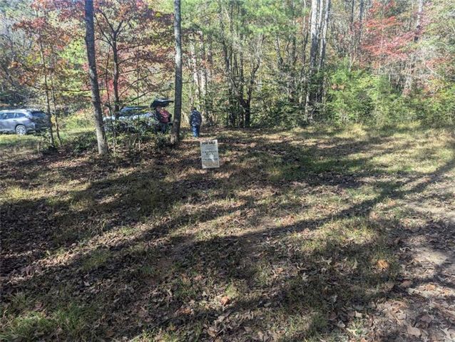 26.89 Shadow Lane, Blue Ridge, GA 30513