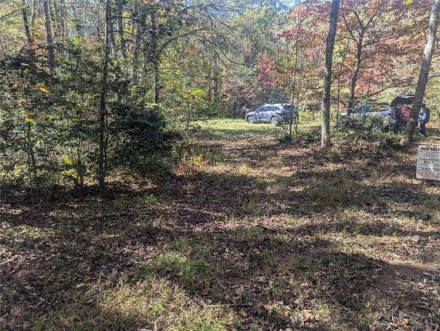 26.89 Shadow Lane, Blue Ridge, GA 30513