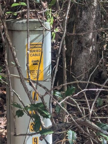 26.89 Shadow Lane, Blue Ridge, GA 30513