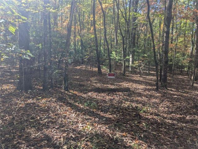 26.89 Shadow Lane, Blue Ridge, GA 30513