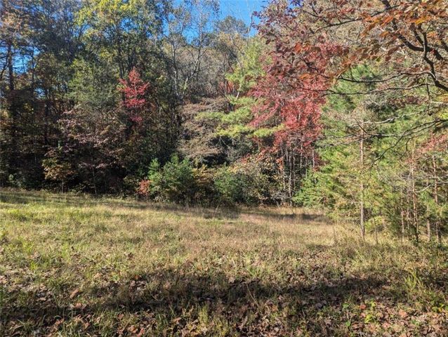 26.89 Shadow Lane, Blue Ridge, GA 30513