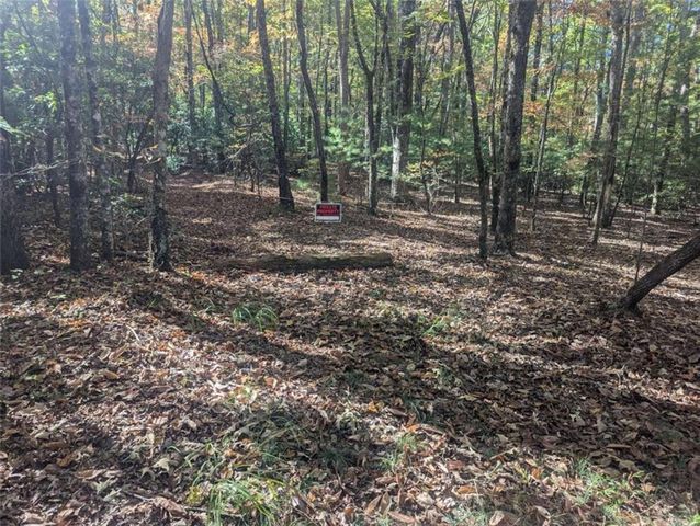 26.89 Shadow Lane, Blue Ridge, GA 30513