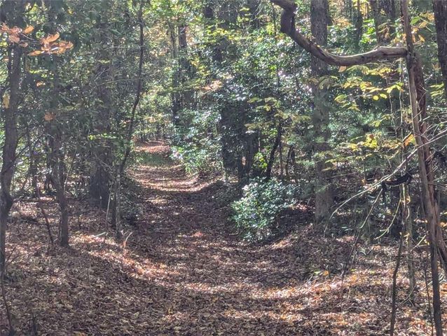 26.89 Shadow Lane, Blue Ridge, GA 30513