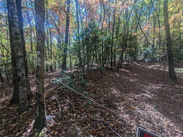 26.89 Shadow Lane, Blue Ridge, GA 30513