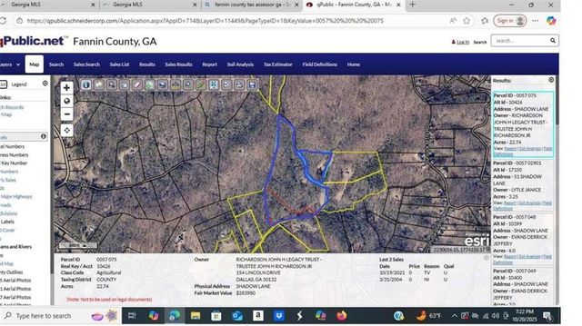 26.89 Shadow Lane, Blue Ridge, GA 30513