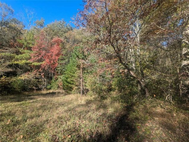 26.89 Shadow Lane, Blue Ridge, GA 30513