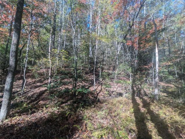 26.89 Shadow Lane, Blue Ridge, GA 30513