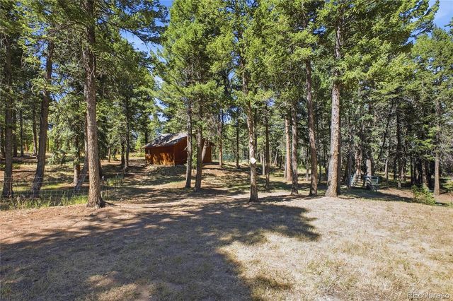 8818 Blue Creek Road, Evergreen, CO 80439