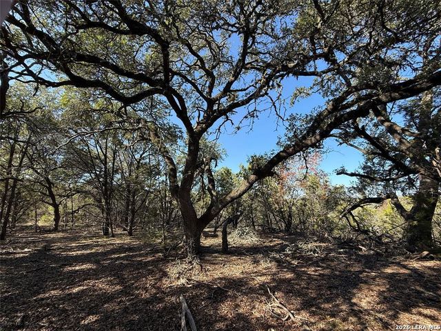 105 S Park RD, Wimberley, TX 78676
