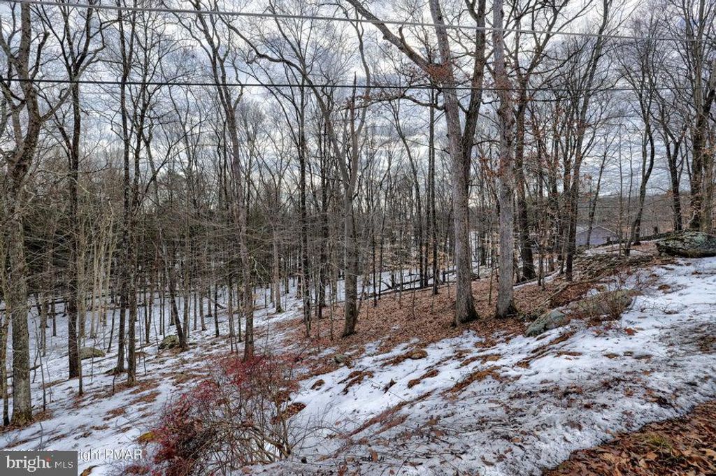 Lot 679 RACCOON COURT, Bushkill, PA 18324