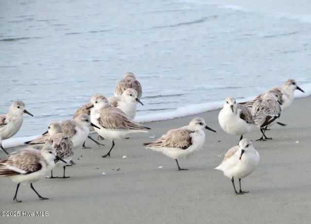 725 Bermuda Walk, Sunset Beach, NC 28468