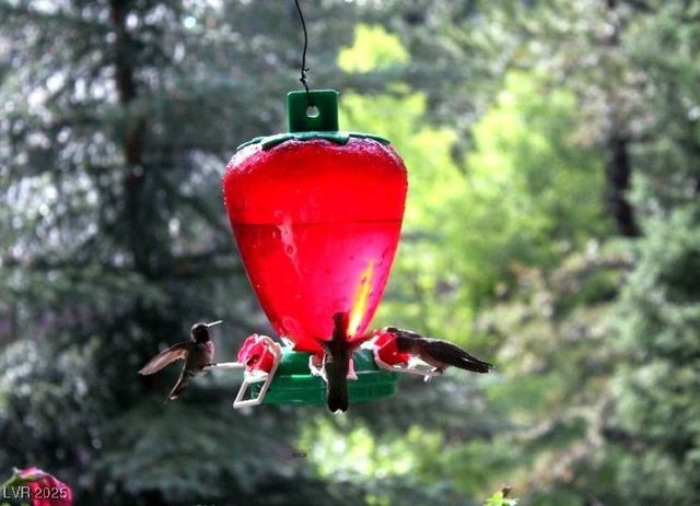 370 Alpine Way, Mount Charleston, NV 89124