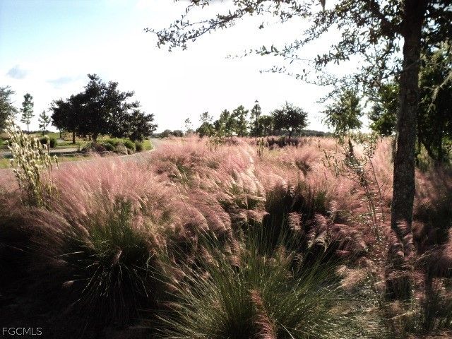 3341 Chestnut Grove DR, Alva, FL 33920