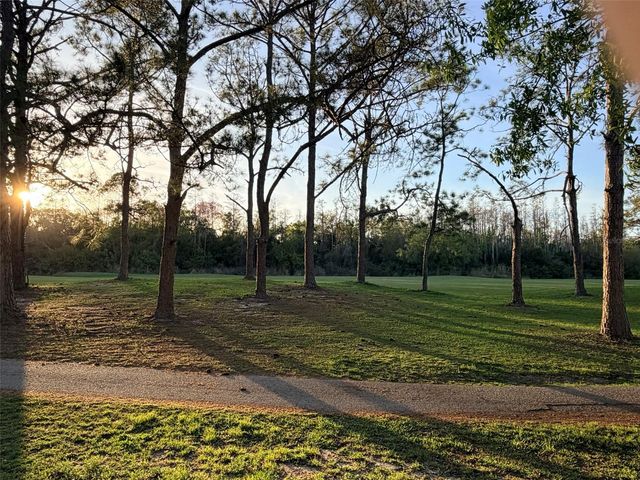 16302 RAMBLING VINE DRIVE W, Tampa, FL 33624