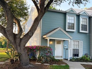 16302 RAMBLING VINE DRIVE W, Tampa, FL 33624