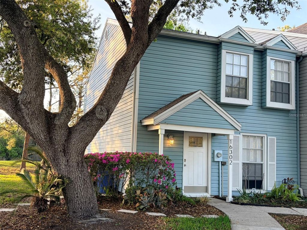 16302 RAMBLING VINE DRIVE W, Tampa, FL 33624