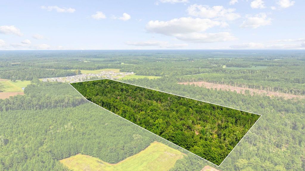 TBD Fries Bay Rd., Loris, SC 29569 — exterior