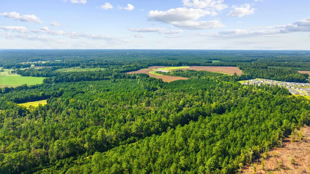 TBD Fries Bay Rd., Loris, SC 29569 — photo 2