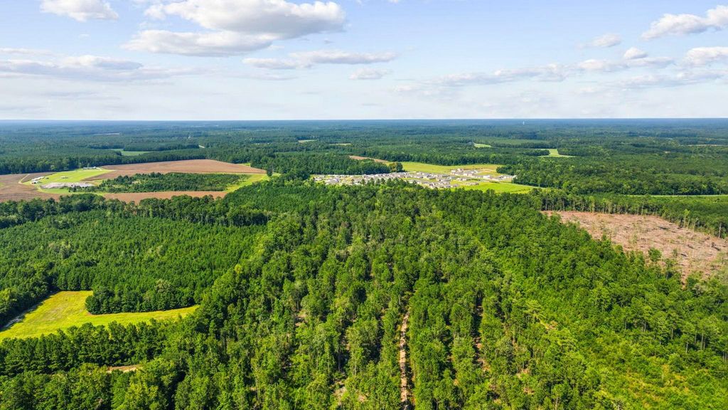 TBD Fries Bay Rd., Loris, SC 29569 — photo 3