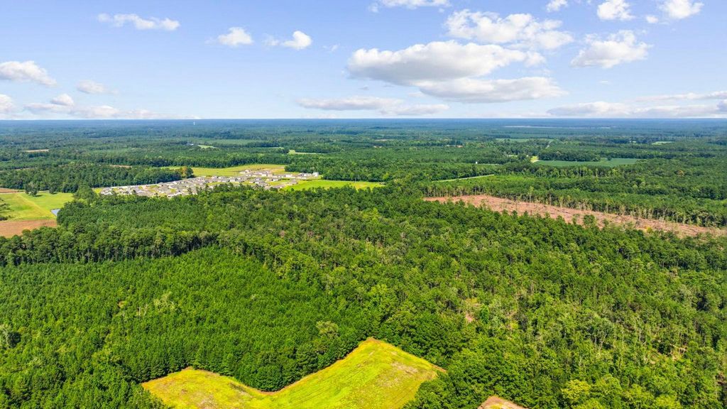 TBD Fries Bay Rd., Loris, SC 29569 — photo 5