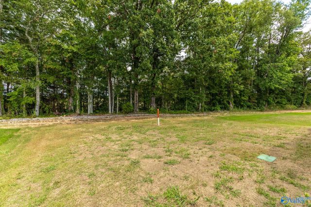 14764 Ravenel Drive, Harvest, AL 35749