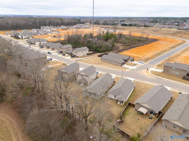 14764 Ravenel Drive, Harvest, AL 35749