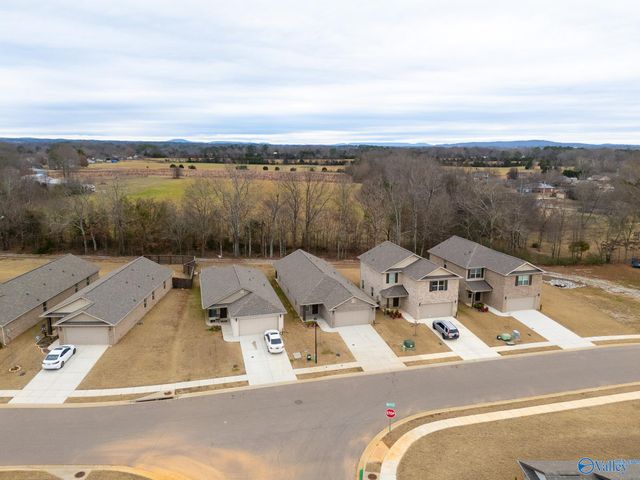 14764 Ravenel Drive, Harvest, AL 35749