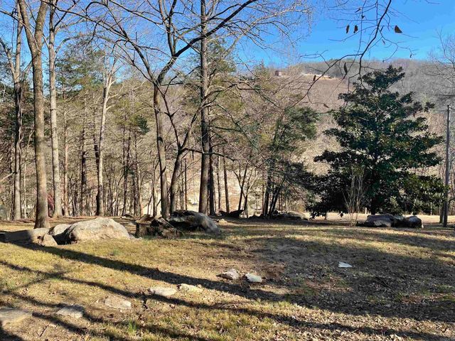 272 & 222 Peace Mountain Road, Mountain View, AR 72560