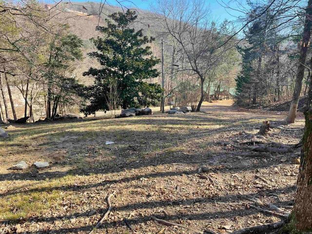 272 & 222 Peace Mountain Road, Mountain View, AR 72560