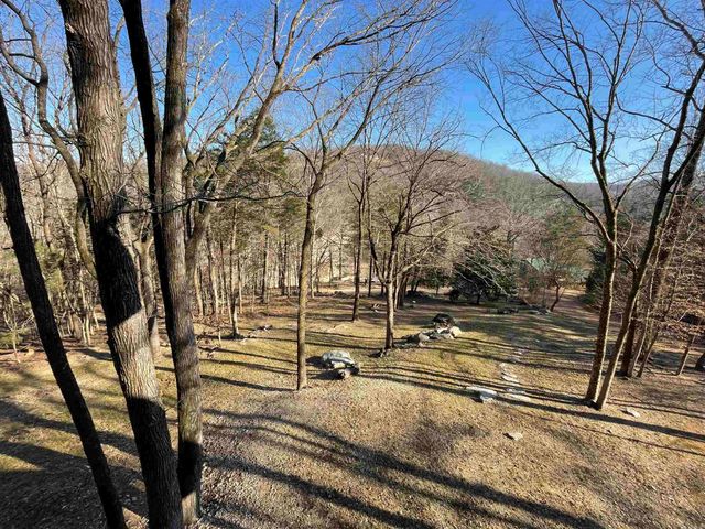 272 & 222 Peace Mountain Road, Mountain View, AR 72560