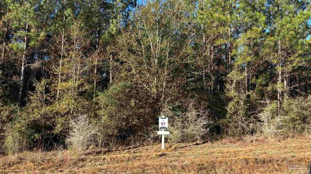 lot 61 Straw Bridge Rd, Allentown, FL 32565