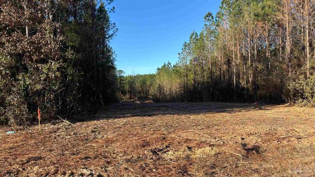 lot 61 Straw Bridge Rd, Allentown, FL 32565
