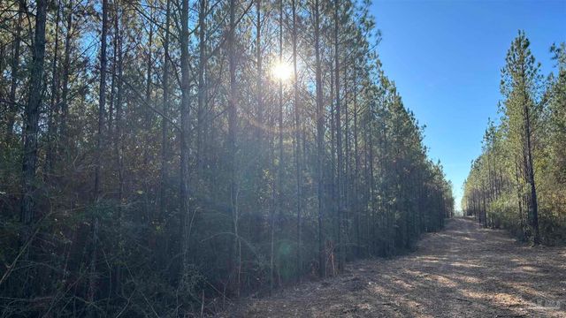 lot 61 Straw Bridge Rd, Allentown, FL 32565