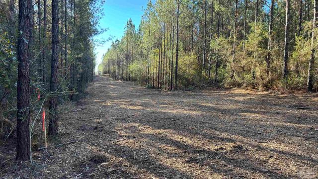 lot 61 Straw Bridge Rd, Allentown, FL 32565