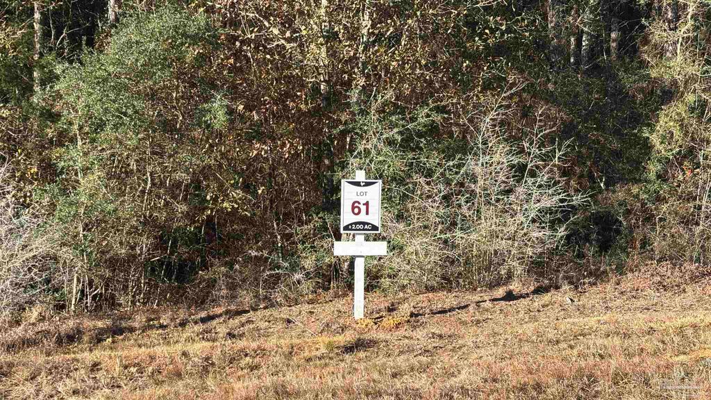 lot 61 Straw Bridge Rd, Allentown, FL 32565